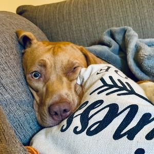 Meet your Posher, Sonya